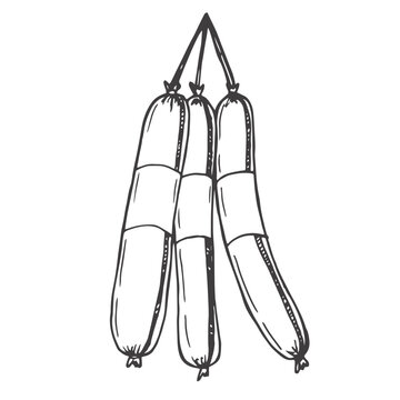 recommend clip art: Salami sausage outline icon vector illustration. Line hand drawn slices and delicatessen pork roll, Italian chorizo or smoked German traditional sausage, food ingredient and butchers shop product