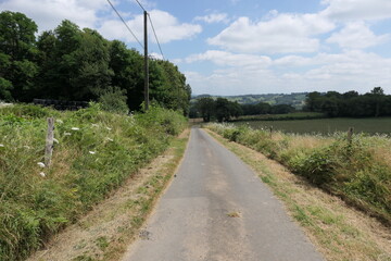 A sunlit, winding road in France, lined with lush green trees, weaving through a vibrant summer landscape.