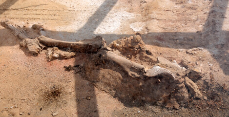 Salamis Antique City and King Tombs in Cyprus is an important ancient settlement.