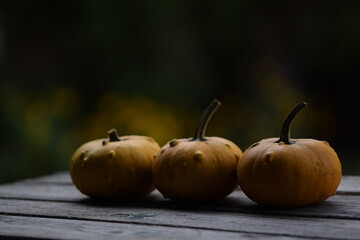 Ornamental pumpkins on wooden table, bokeh background with yellow blooming flowers, autumn background with pumpkins, selective focus, blurred background, space for text.