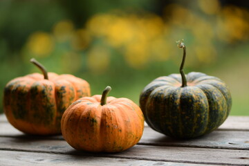 Ornamental pumpkins Sweetie Pie on wooden table, bokeh background with yellow blooming flowers, autumn background with pumpkins, selective focus, blurred background, space for text.