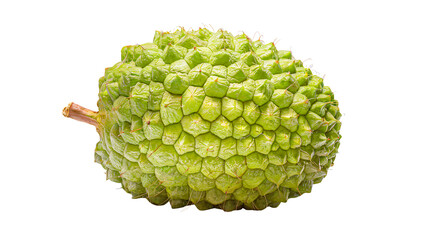 Detailed Close-Up of a Tropical Green Durian Fruit isolated on a transparent background.