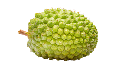 Detailed Close-Up of a Tropical Green Durian Fruit isolated on a transparent background.