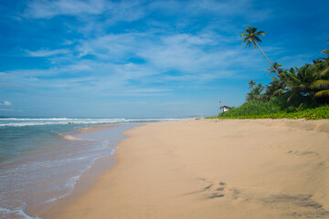 Ocean Paradise with Palm Trees Waves and Breathtaking Beauty for Ultimate Life Enjoyment and Unmatched Serenity