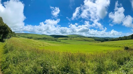 Fototapeta premium Lush green fields stretch across the serene summer landscape beneath a brilliant blue sky filled with fluffy white clouds.