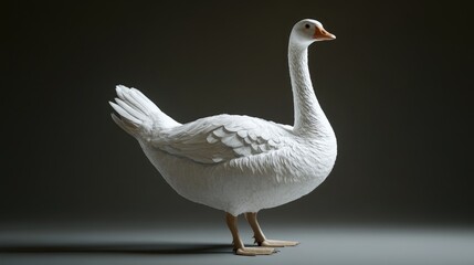 Obraz premium Realistic portrayal of a domestic goose with detailed feather texture and natural posture against a dark background.