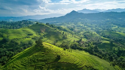 Fototapeta premium Aerial view of lush green hills showcasing terraced fields and diverse landscapes under a bright sky, highlighting nature's beauty and agricultural practices.