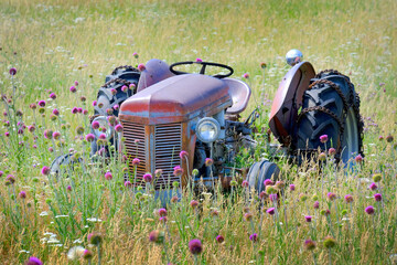 Old Vintage Tractor Antique in Field with Flowers Abandoned
