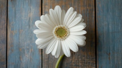 Elegant white flower placed beside a blank card on rustic wooden background, highlighting natural textures and soft colors.