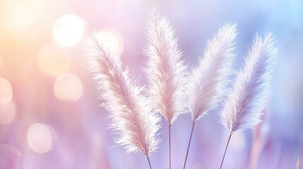Fototapeta premium Close-up of fluffy pampas grass in soft pastel colors with a blurred background, highlighting delicate textures perfect for botanical and nature themes.