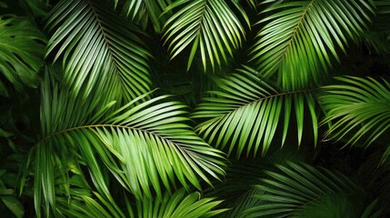 Lush green palm leaves form a striking frame against a rich dark green background, embodying a vibrant tropical nature theme.