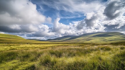 Obraz premium Expansive green grassland stretches under a vibrant sky, dotted with dramatic white clouds and rolling hills in the background.