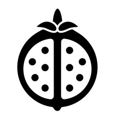 Pomegranate Fruit solid icon isolate transparent