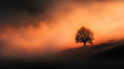 Lone silhouette of a tree in a misty meadow at sunset with a dramatic orange and dark sky creating a serene panoramic landscape.