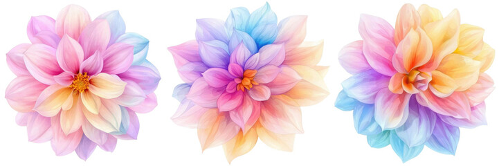 Obraz premium Beautiful pastel flowers with vibrant colors on a white isolated background.