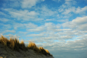 dünen auf der der insel texel