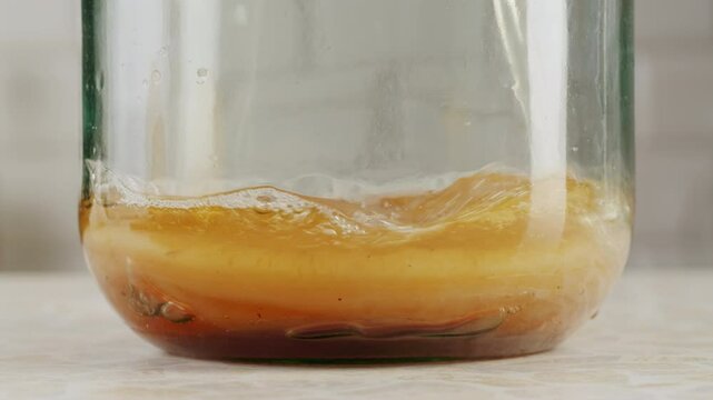 Kombucha tea, scoby fungus homemade Kombucha fermented drink, bacteria and yeast, fermentation, probiotic, Scoby, mushroom pro biotic, healthy fermented tea