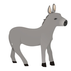 Domestic donkey isolated. vector illustration