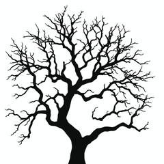 Fototapeta premium a black and white silhouette of a tree.