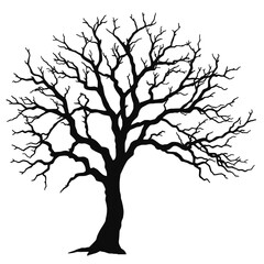 Obraz premium a black and white silhouette of a tree.