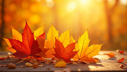 autumn leaves background