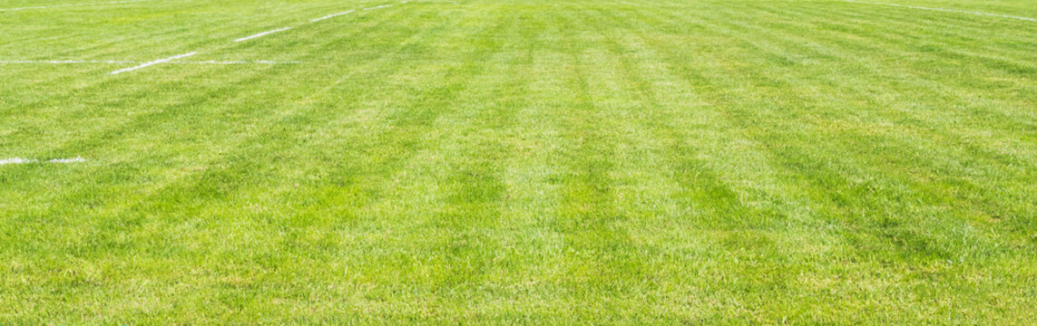 Lush green grass field of sports events