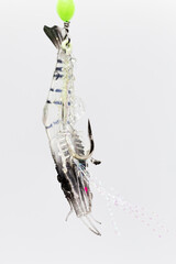 Fishing accessories, a silicon soft bait simulate a grey shrimp for fishing at ocean to catch big fishes and cephalopods