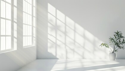 Obraz premium photo Realistic and minimalist blurred natural light windows, shadow overlay on wall paper texture, abstract background. Minimal abstract light white background for product presentation
