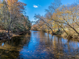 autumn trees reflected in water