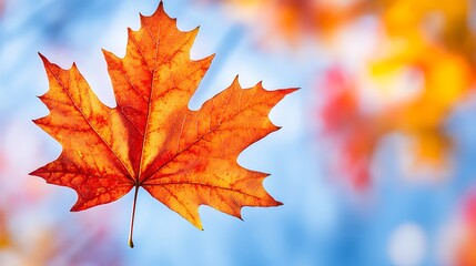 A vibrant orange maple leaf against a soft blue background, symbolizing autumn's beauty.