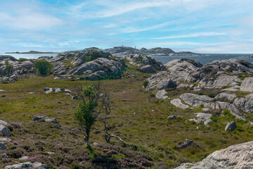 Walking path along the fjord on Skernoy island in Norway