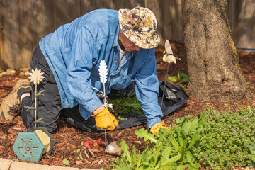 Senior man down on his hands and knees cleaning up a garden area for spring
