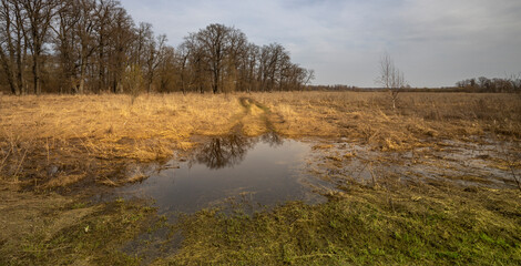 Field with a small pond in the middle