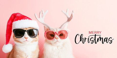 Merry Christmas xmas concept holiday vacation winter funny animal pet greeting card with text - Cool cats with sunglasses and santa claus hat, isolated on pink background