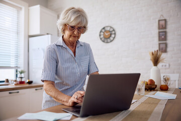 Senior woman using computer while planning household budget.