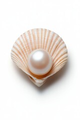 A beautiful pearl resting inside a delicate shell against a clean background, perfect for luxury-themed projects, jewelry promotions, or ocean-inspired designs, Ideal for marketing, blogs