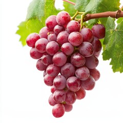 Fototapeta premium A close-up of fresh, vibrant red grapes hanging on a vine, perfect for highlighting health, nature, or food-related themes in marketing materials, cookbooks, or lifestyle blogs,
