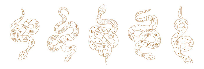 Mystical esoteric snakes illustrated in a clean linear style. The design features symbolic and abstract representations of snakes, perfect for spiritual, occult, or decorative projects.