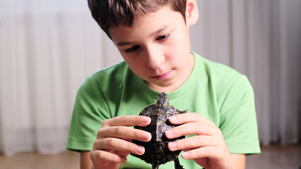 A young boy carefully holds a small turtle in his hands, focusing on the delicate creature. This moment captures the tenderness of a child s interaction with nature and pets.