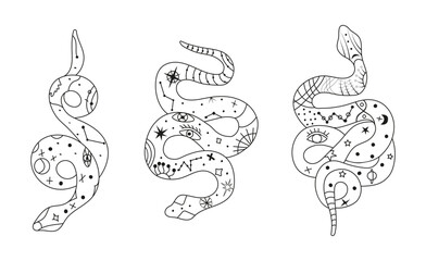 Mystical esoteric snakes illustrated in a clean linear style. The design features symbolic and abstract representations of snakes, perfect for spiritual, occult, or decorative projects.