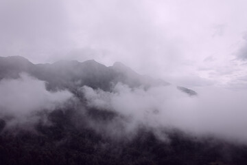 Fototapeta premium Misty mountains at dawn, shrouded in a soft veil, create a magical atmosphere of tranquility and mystery of nature