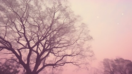 Misty Branches Against A Pink Sky