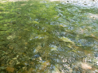 The river, with its rapid flow and majestic cliffs, creates a breathtaking landscape, reflecting the strength and beauty of the wild nature