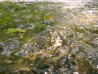 The river, with its rapid flow and majestic cliffs, creates a breathtaking landscape, reflecting the strength and beauty of the wild nature