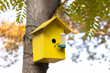 Sparrow's wooden nest on a tree