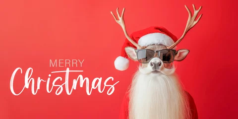  Merry Christmas concept holiday vacation winter funny animal pet greeting card with text - Cool santa claus hipster reindeer deer with sunglasses and santa hat, isolated on red background © Corri Seizinger