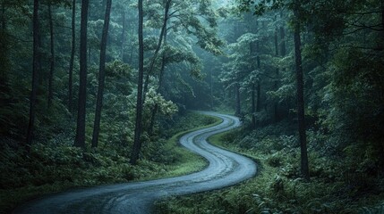 Obraz premium A scenic winding road surrounded by dense forest trees and foliage, ideal for travel or adventure photography