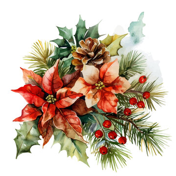 recommend clip art: A watercolor of Christmas Flowers with Pine, isolated on a white background. Christmas Flowers with Pine vector.