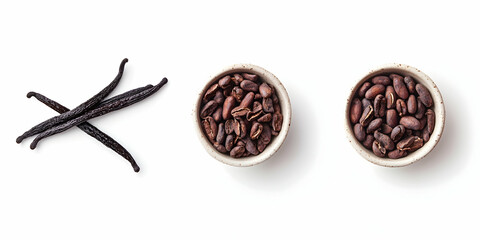 Cocoa beans displayed alongside vanilla pods isolated on a white background. high quality