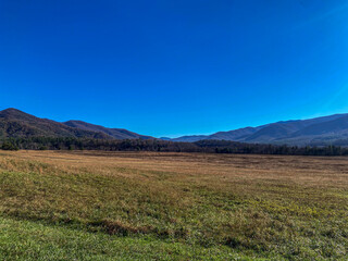 Autumn Landscape in the Mountains